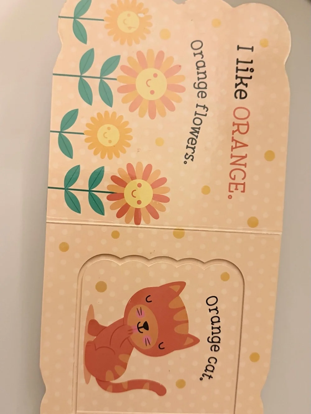 COLORS Lift-a-Flap Book - White